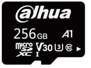 Karta pamięci Dahua L100 microSD 256GB