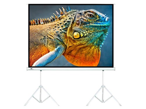 Ekran projekcyjny Maclean MC-712 150" 4:3 300x225 na 2 statywach - 1930532