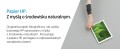 HP 951XL - Hojtydende - cyan - origina - 1934202
