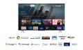 Telewizor 43" TCL 43P638 (4K UHD HDR DVB-T2/HEVC Google TV) - 1808748