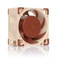 Wentylator NOCTUA NF-A4X20 FLX 40x20 mm 3-Pin - 1943942