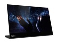 Lenovo ThinkVision M14t 14.0"FHD 60Hz 300nits IPS USB­C - 1948729