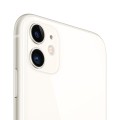 APPLE iPhone 11 64GB White (P) - 1955077