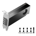 PNY NVIDIA 2000 Ada 16GB LowProfile, PCIe 4.0 x16, Dual Slot, 4x Mini DP 1.4a, 16 GB GDDR6 ECC 128-bit, HDCP 2.2, HDMI 2.0, LP - ATX bracket, 1x mDP to DP adapter, retial - 1959117