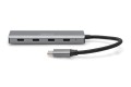 Hub USB Typ C DIGITUS 4-portowy 4x USB Typ C aluminium 5Gbps - 1970478