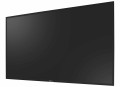 AG NEOVO MONITOR LED SMQ-4301 43" 4K UHD, 24/7 - 1969333