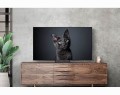 Telewizor 55" Samsung QE55S90CATXXH - 1971550