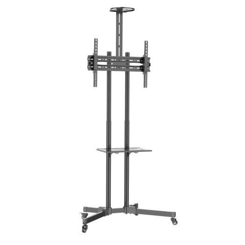 Stojak mobilny Techly 37''-70'', 50kg regulowany, 2xpółka - 1875837