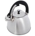 Czajnik Maestro MR-1333, 3,0 l srebrny - 849259