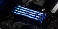 MEMORY DIMM 16GB PC28800 DDR4/K2 KF436C16RB2AK2/16 KINGSTON - 2006572