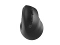 Mysz bezprzewodowa Natec Crake 2 Bluetooth 5.2 + 2.4GHz 2400DPI wertykalna czarna - 1652341