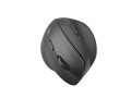 Mysz bezprzewodowa Natec Crake 2 Bluetooth 5.2 + 2.4GHz 2400DPI wertykalna czarna - 1652344