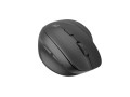 Mysz bezprzewodowa Natec Crake 2 Bluetooth 5.2 + 2.4GHz 2400DPI wertykalna czarna dla leworęcznych - 1652353