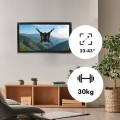Uchwyt do telewizora lub monitora Maclean MC-418, max. VESA 200x200, 23-43", 30kg, czarny - 2069511