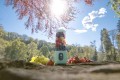 Blender Smoothie bezprzewodowy CONCEPT SM4002 - 2048734