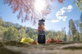 Blender Smoothie bezprzewodowy CONCEPT SM4001 - 2048724