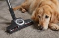 Odkurzacz MIELE Complete C3 Cat&Dog Flex Power Line - 2077013