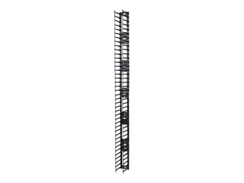 Vertical Cable Manager for NetShelter SX 750mm Wide 42U (Qty 2) - 2083734