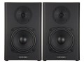 Kurzweil KS-40A - Para monitorów studyjnych - 1776041