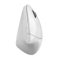 Mysz bezprzewodowa Perixx PERIMICE-813 W optyczna wertykalna pionowa prawa biała RF + BLUETOOTH - 1763040