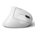 Mysz bezprzewodowa Perixx PERIMICE-813 W optyczna wertykalna pionowa prawa biała RF + BLUETOOTH - 1763042