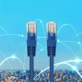 QOLTEC 50543 Qoltec Kabel Patchcord UTP CAT5E 0,5m - 2096690