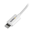 2M LIGHTNING TO USB CABLE/. - 2130521