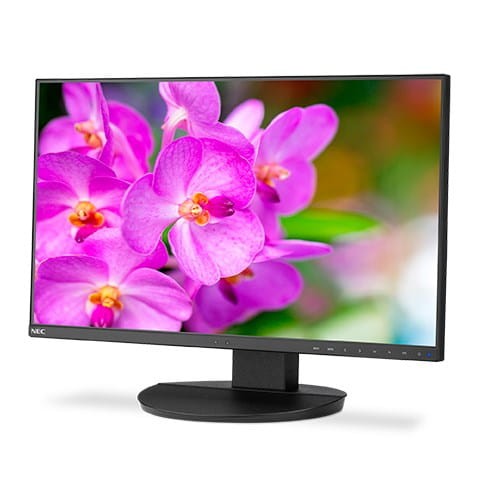 EA241F 24IN IPS BLACK/1920X1080 1000:1 250CD/QM LED - 2145648