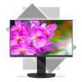 EA241F 24IN IPS BLACK/1920X1080 1000:1 250CD/QM LED - 2145652