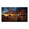 Samsung SMART Signage 55" VM55B-U - 2146616