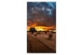 Samsung SMART Signage 55" VM55B-U - 2146613