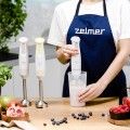 Blender ręczny PULSAR 800W SYMBIO ZELMER ZHB4561S - 2105994