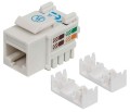 INTELLINET MODUŁ KEYSTONE RJ45 UTP CAT6 BIAŁY 2105 - 2131647