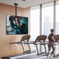 Uchwyt sufitowy Techly 32"-55", 50kg regulowany - 1460985