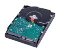 Dysk twardy HDD WD Gold 8TB 3,5" SATA WD8005FRYZ - 2199044