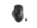Mysz bezprzewodowa Natec Blackbird 2 optyczna NANO 2.4GHz czarna z cichym klikiem - 1067026