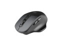 Mysz bezprzewodowa Natec Blackbird 2 optyczna NANO 2.4GHz czarna z cichym klikiem - 1067028