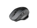 Mysz bezprzewodowa Natec Blackbird 2 optyczna NANO 2.4GHz czarna z cichym klikiem - 2296583