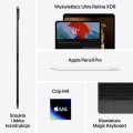Apple 13-inch iPad Pro (M4) WiFi 256GB with Standard glass - Space Black - 2301457