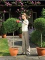 BLACK+DECKER NOŻYCE DO ŻYWOPŁOTU   3,6V GSL300 15cm - 1918151