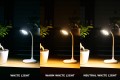 Lampka biurkowa LED Montis MT044 Akumulatorowa, USB, biała - 1063132