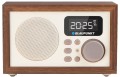 Radioodtwarzacz Blaupunkt HR5BR (kolor brązowy) - 859502