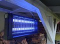 Lampa owadobójcza NOVEEN IKN30 Black - 1977259