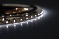 Taśma w żelu LED Activejet AJE-Z300L3528WCI (180 lm; Biały zimny; 5m; 4 W; IP65) - 2283907