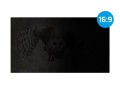 Filtr prywatyzujący RODO Natec Owl 27" 16:9 - 2275502
