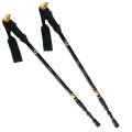 Kije trekking/Nordic Walking 50% CARBON NILS NW-TK19 - 1463879
