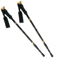 Kije trekking/Nordic Walking 50% CARBON NILS NW-TK19 - 1071117