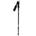 Kije trekking/Nordic Walking 50% CARBON NILS NW-TK19 - 1071118