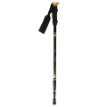 Kije trekking/Nordic Walking 50% CARBON NILS NW-TK19 - 1463881