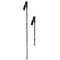Kije trekking/Nordic Walking 50% CARBON NILS NW-TK19 - 1463880